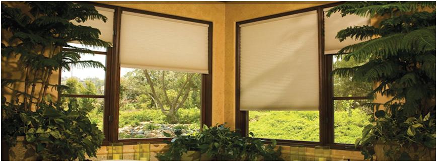 Window Roller Shade